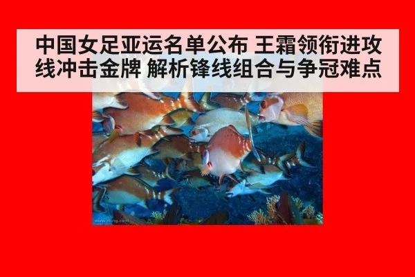 中国女足亚运名单公布 王霜领衔进攻线冲击金牌 解析锋线组合与争冠难点
